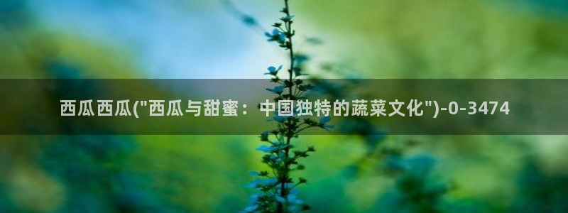 爵迹电影在线观看完整版高清西瓜