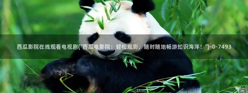 西瓜电影在线高清播放