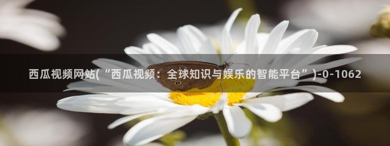 西瓜影院怎么下载