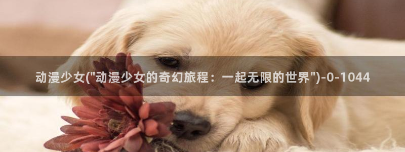 58动漫