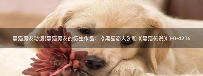 水母动漫