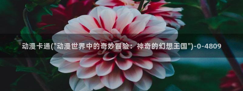推荐动漫