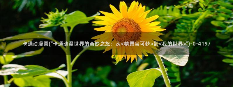 风车动漫